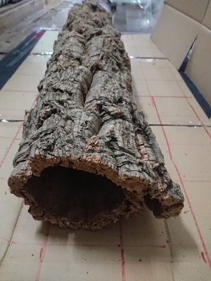 バージンコルクと流木 ワイルドスカイ通販