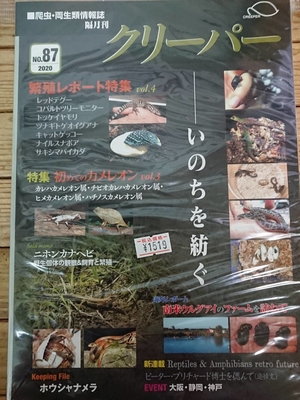 レターパックライトで送る　クリーパー87号