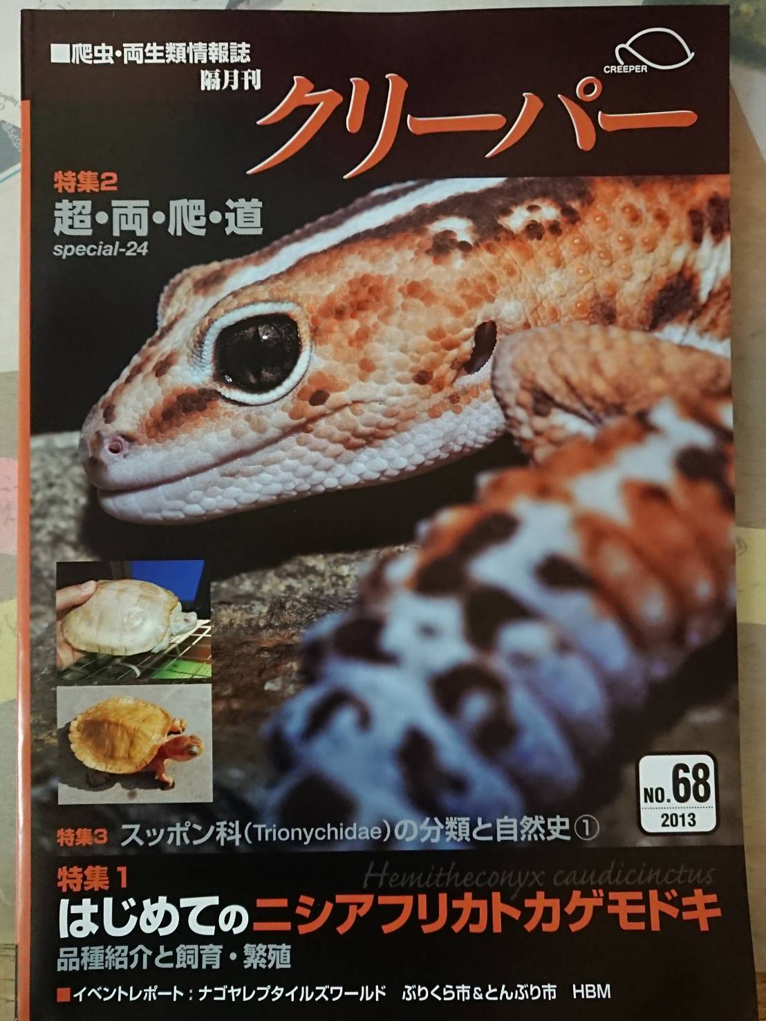 爬虫類両生類情報誌 クリーパー 2号