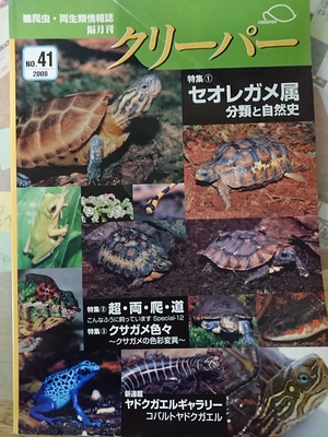 レターパックライトで送る クリーパー81号 ワイルドスカイ ワイルドスカイ通販