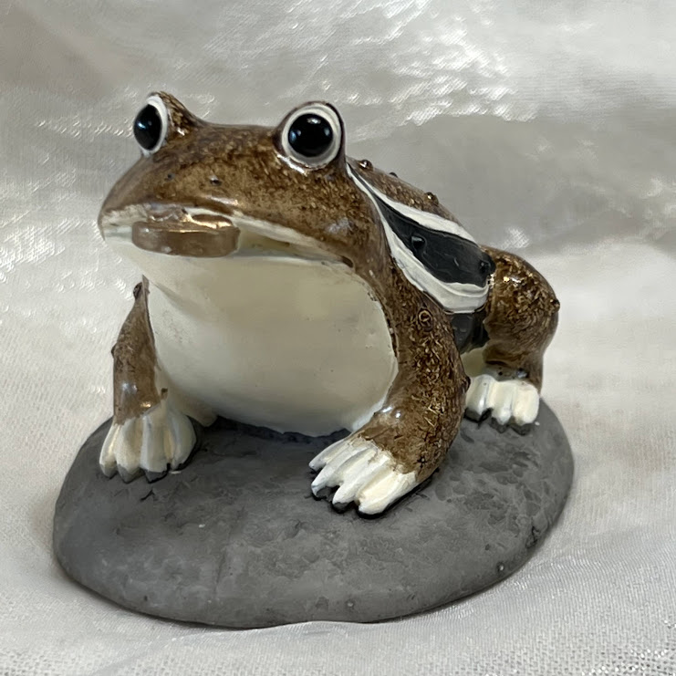 コポー ガマおやじ－ワイルドスカイwildsky・カエル専門店（東京・西