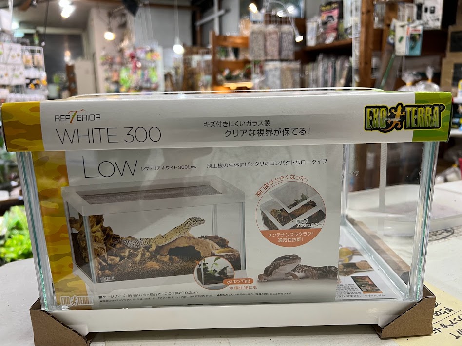 エキゾテラ レプティリアホワイト 300LOW | ワイルドスカイ通販