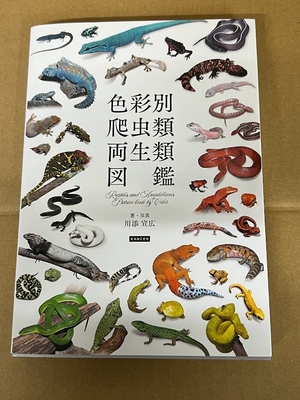 色彩別 爬虫類・両生類図鑑