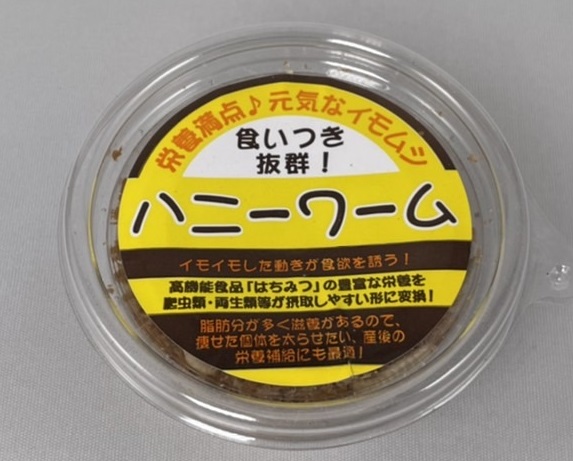 ハニーワーム | ワイルドスカイ通販