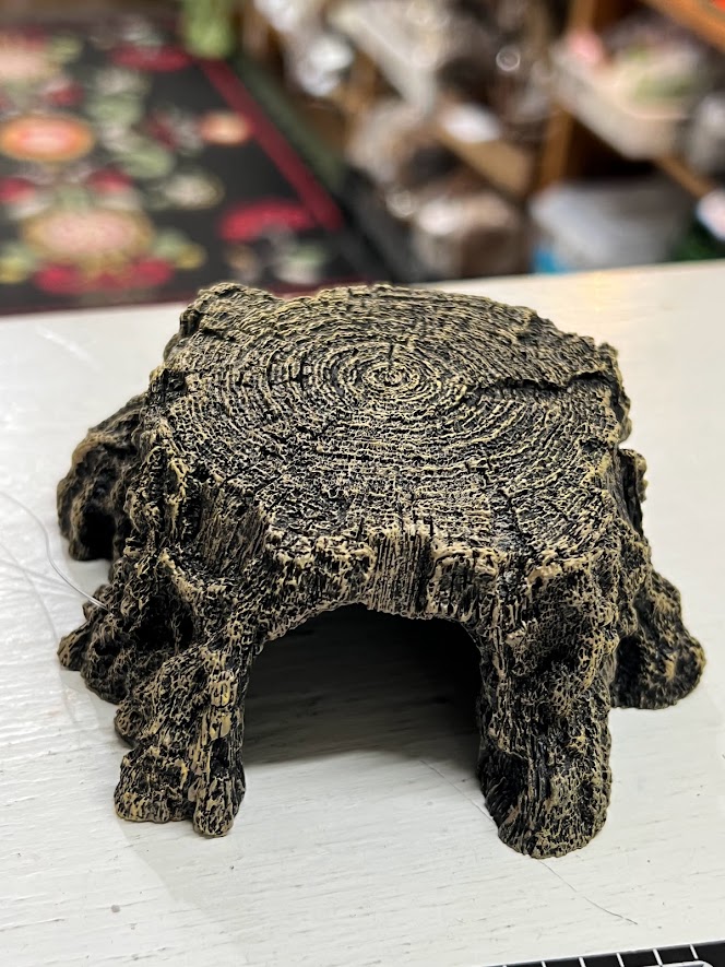 トンネル流木 切株M ワイルドスカイwildsky・カエル専門店（東京・西