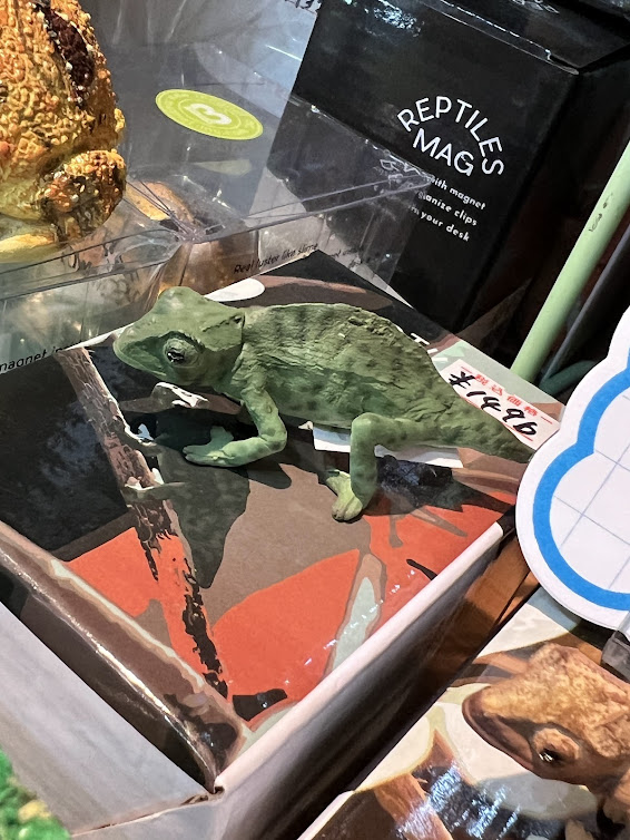 Colmore カメレオン デコボックス グリーン Colmore カメレオン デコボックス グリーン-日本初公式