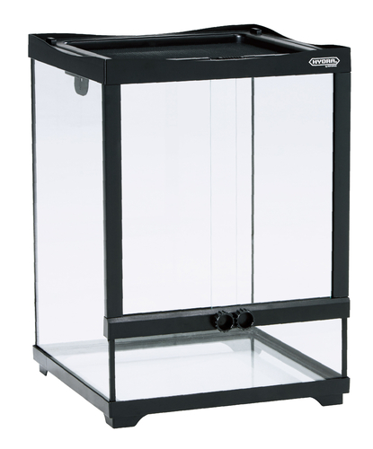 カアマガエル飼育 デラックスセット | ワイルドスカイ通販