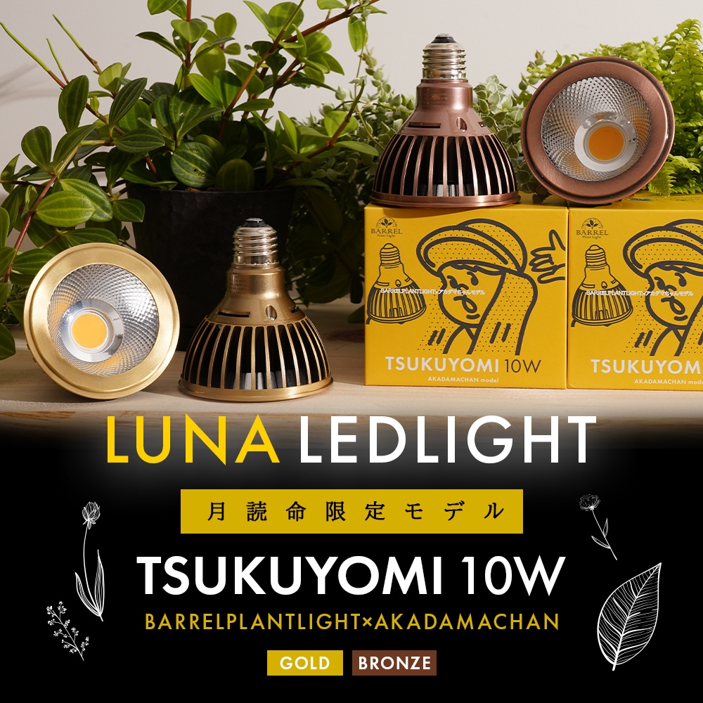 新品格安モアナフルスーツキッズ150 3mm 展示品の為スカイブルー 5792950001.jpg
