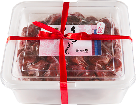 山採りバイカツツジ　梅1 H165cm W90cm 山採りバイカツツジ 梅1 H165cm W90cm 2025年最新】山採り ツツジの