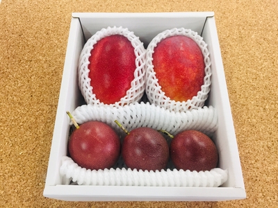 ご家庭用マンゴー1kgとパッションフルーツのセット