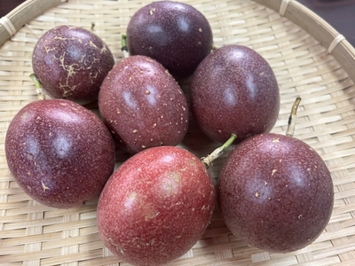 訳あり！パッションフルーツ