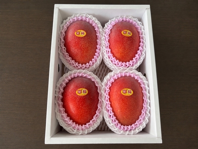【特撰】贈答用完熟アップルマンゴー2kg