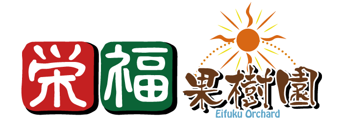 金蜜マンゴー | 栄福果樹園ネットショップ