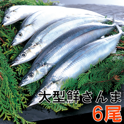 53 大型鮮さんま6匹