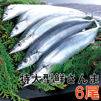 57 特大型鮮さんま6匹