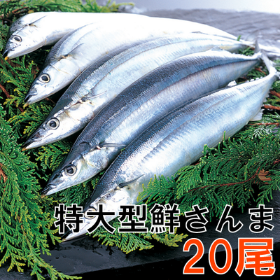 60 特大型鮮さんま20匹