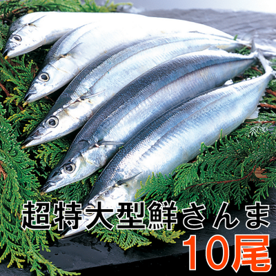 62 超特大型鮮さんま10匹