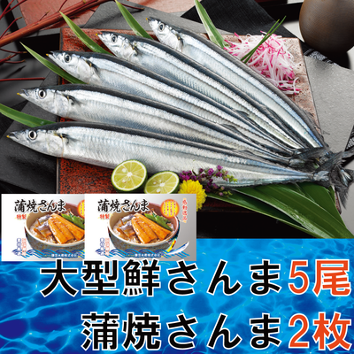 65 網元さんま味わい①