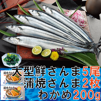 66 網元さんま味わい②