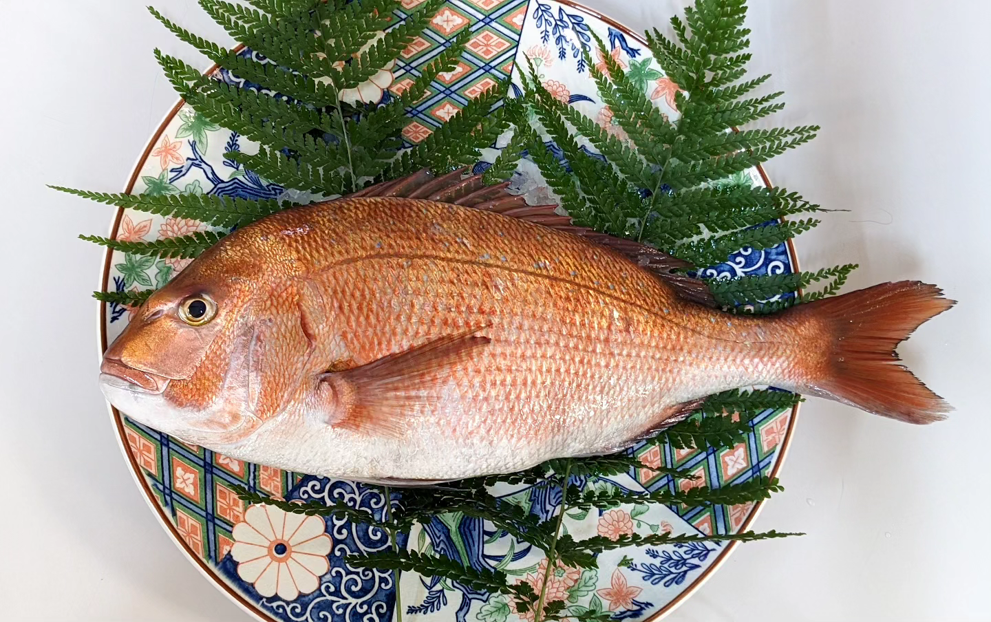 愛媛県愛南町から『深浦真鯛』一本丸ごとの鯛が価値がある！ | うさぎ堂