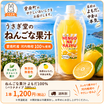 河内晩柑のねんごな果汁【常温】