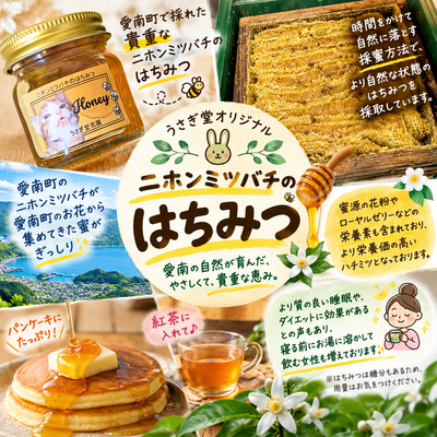 ニホンミツバチのハチミツ【常温】