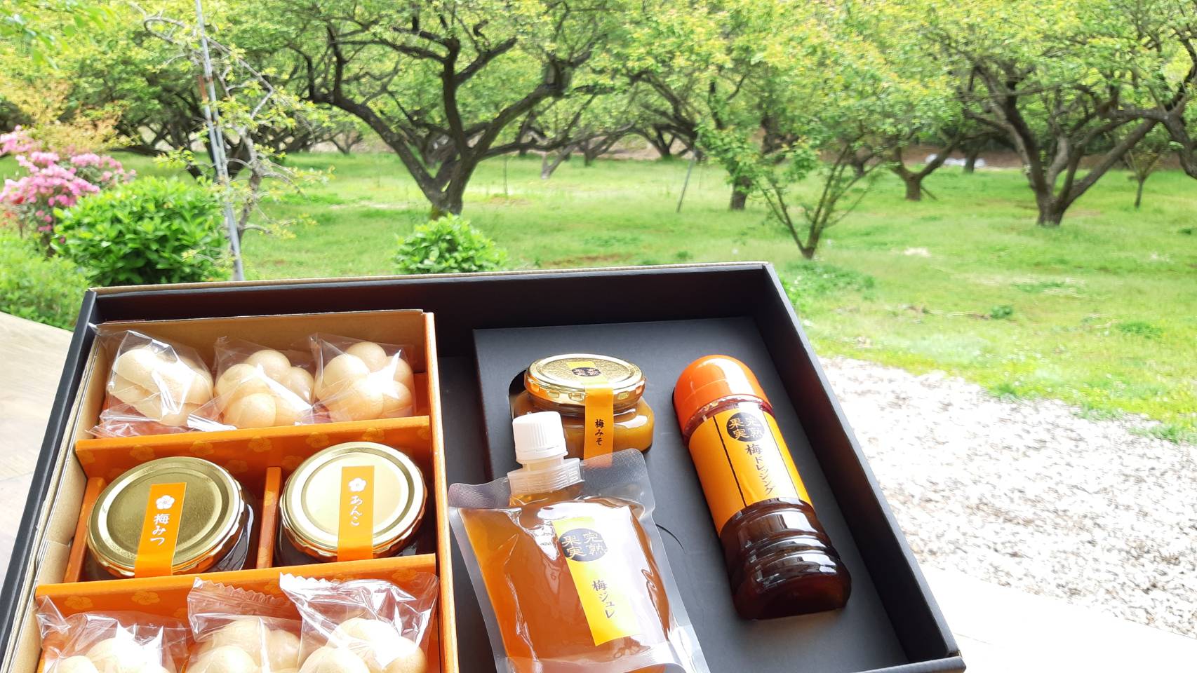 数量限定10 Off おすすめセットd 梅みそ 梅ドレッシング 梅ジュレ 梅みつモナカ たのしい農家お百笑さん