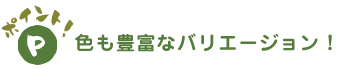 色も豊富なバリエージョン!