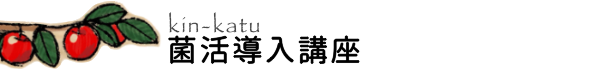 よもぎ庵のよもぎ乳酸菌蒸し菌活導入セミナー