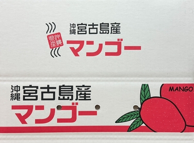 家庭用マンゴー1kg