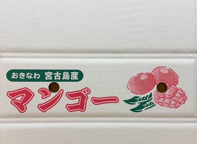 家庭用マンゴー4kg