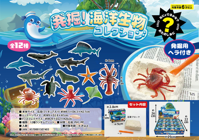 発掘　海洋生物コレクション