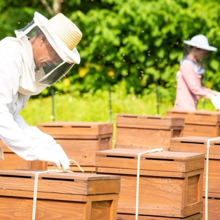西和賀の特産品】巣鴨養蜂園 あかしあはちみつセット（3個）|にしわが