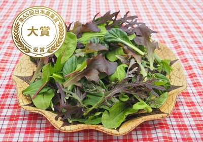 第55回日本農業賞大賞受賞！ベビーリーフ【10袋セット】