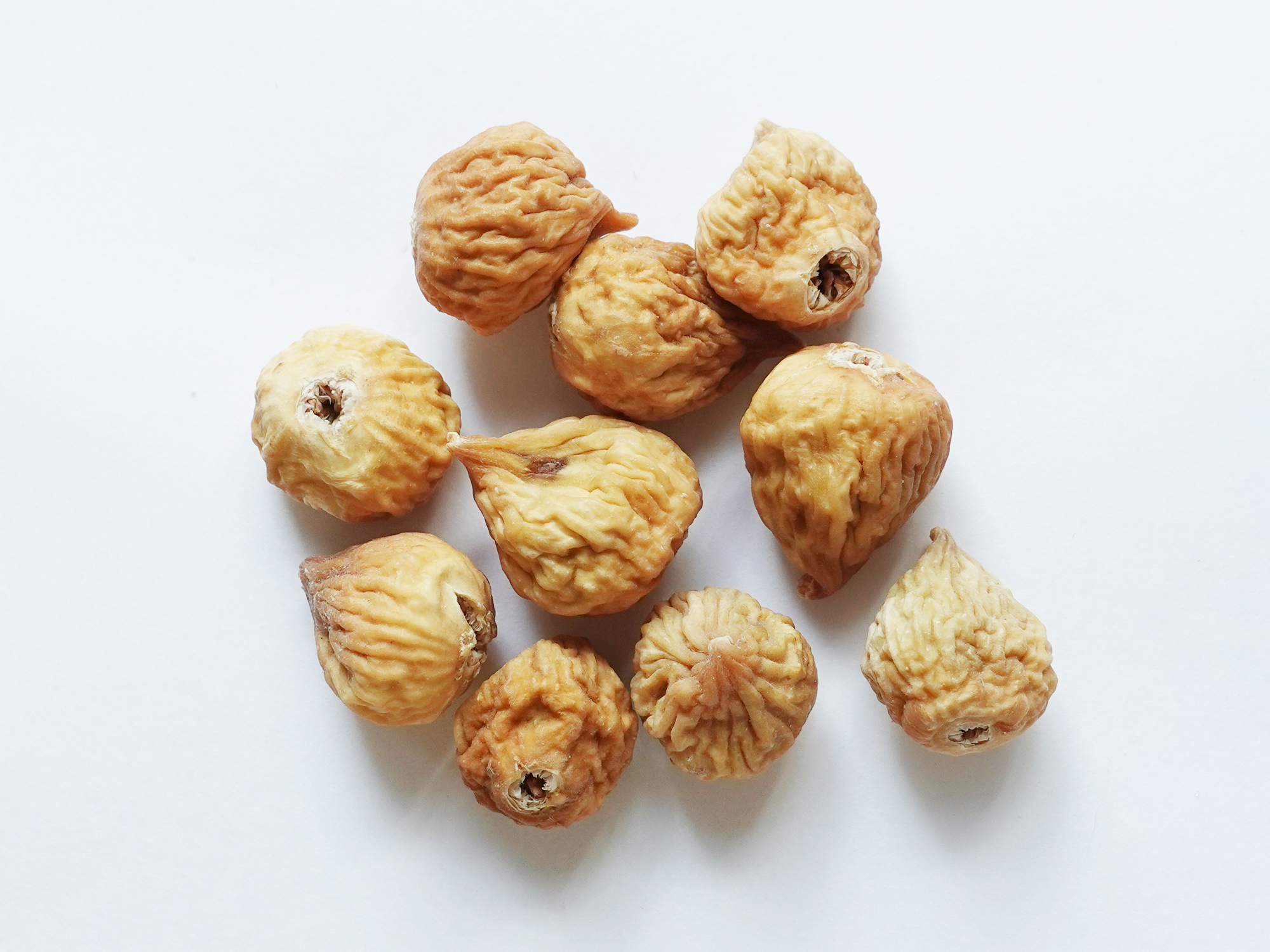 小粒いちじく ｏｗｌ ｍｏｏｎ