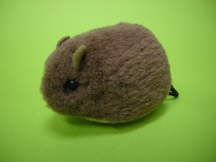 やちねずみのキット | きょうりゅうや