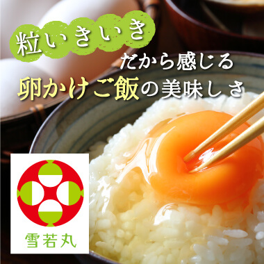 令和6年産雪若丸玄米20kg | コクブン商店