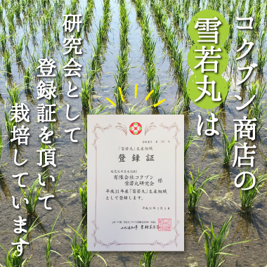 令和6年産雪若丸玄米20kg | コクブン商店