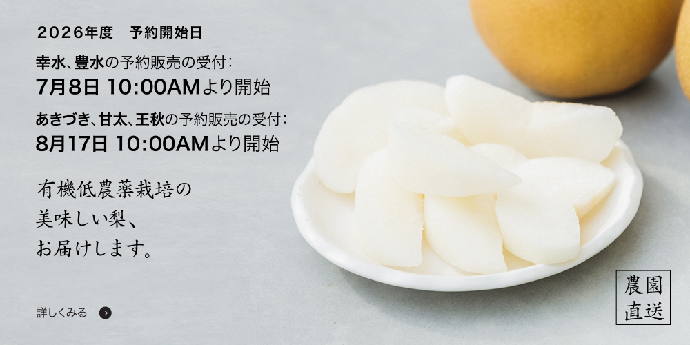 凝縮された梨の甘み、梨のドライフルーツ 無添加、無着色、無加糖のドライフルーツ。本年度、当園で採れた梨のみを使用しています。