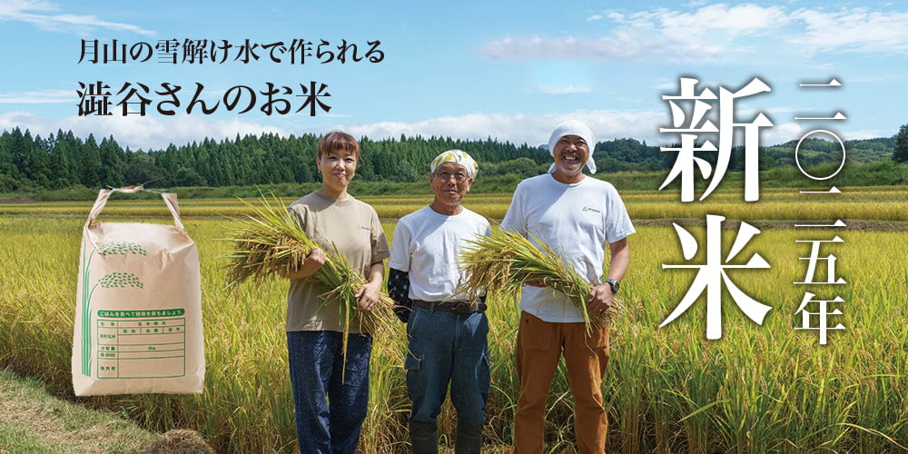 澁谷さんのお米