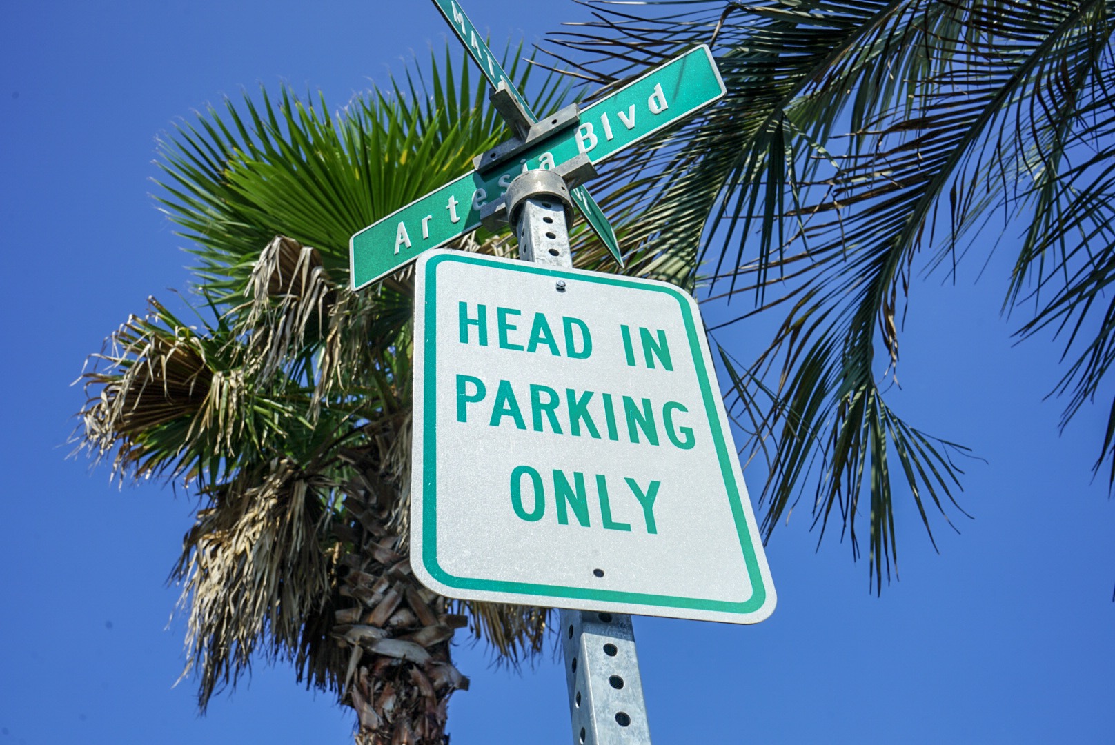 ロードサイン HEAD IN PARKING ONLY | Berry Land