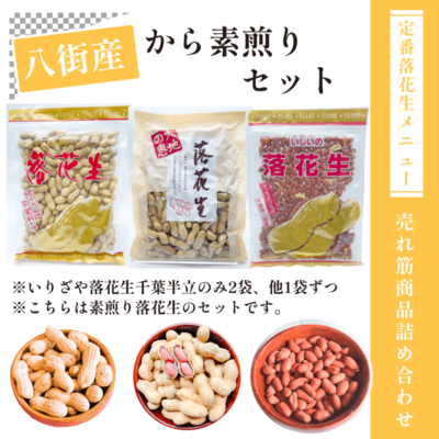 あ*い様 100年前のハイラル満喫セット！ 即日発送】空調服 セット 半袖ブルゾン バッテリー＆ファン