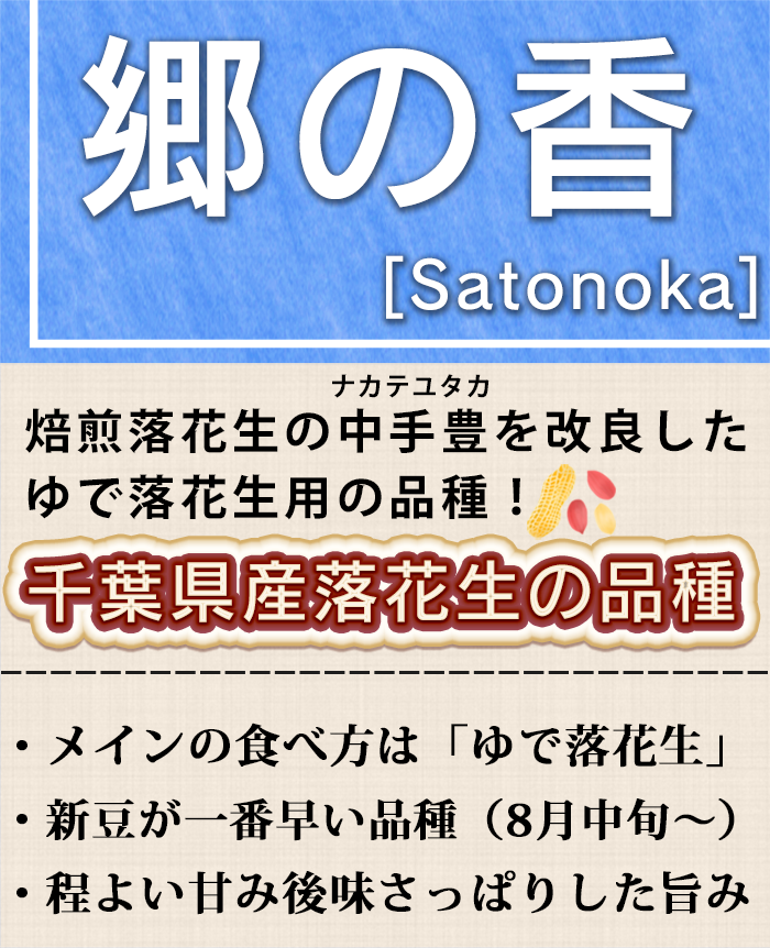 レトルトゆで落花生 郷の香（さとのか）【千葉県産】｜常温保存OK・殻