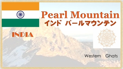 INDIA パールマウンテン　限定商品