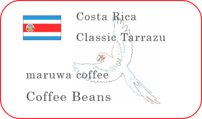 NEW コスタリカ　Specialty Coffee