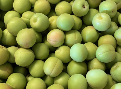 フルーツ | 蟻さんくだものオンライン