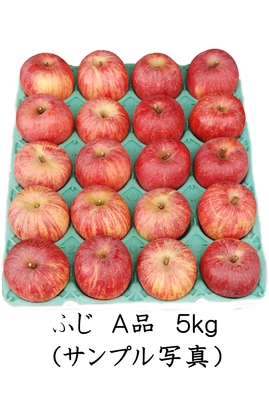 りんご^ - ^ ② CATEGORY りんご | mr-ringo