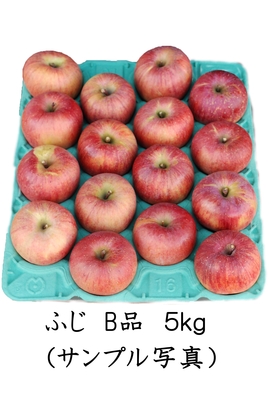 2025年山形県産　減農薬りんご&rdquo;ふじ&rdquo;標準品（家庭用）５ｋｇ