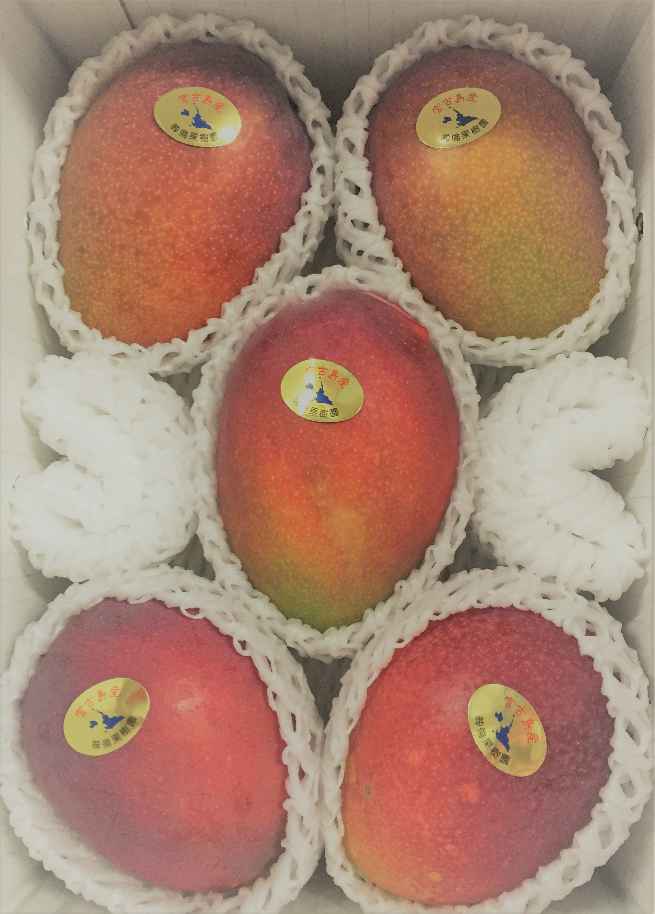 宮古島産マンゴー 良品2kg（白箱入） | RIN−KAJUEN 