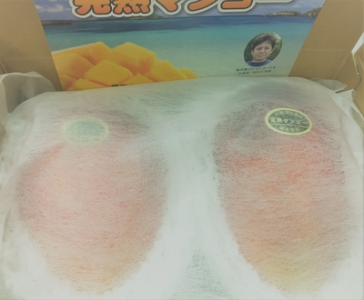 ネズミちゃん！宮古島産摘果マンゴー　8キロ ☆2025年最終販売☆宮古島産マンゴー（ご家庭用4kg／7〜9玉